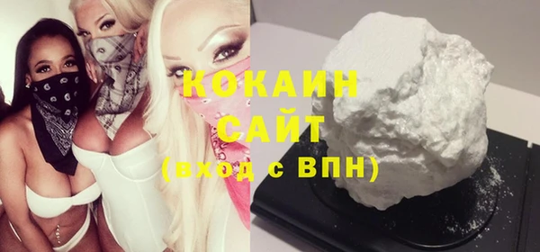 трава Гусиноозёрск