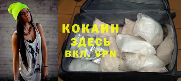 трава Гусиноозёрск