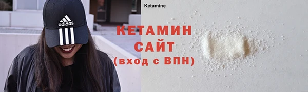 трава Гусиноозёрск
