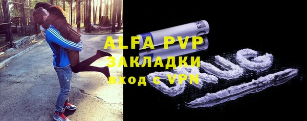 трава Гусиноозёрск